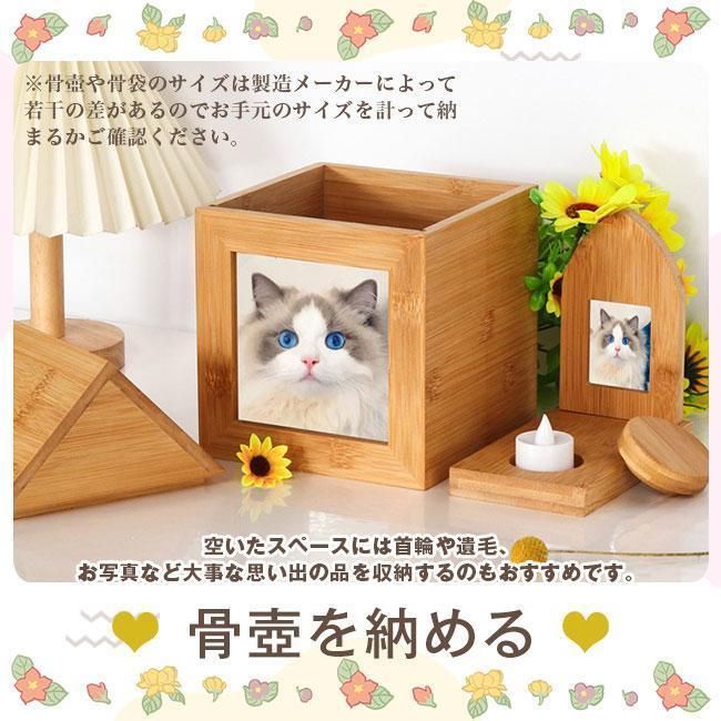ペット 写真