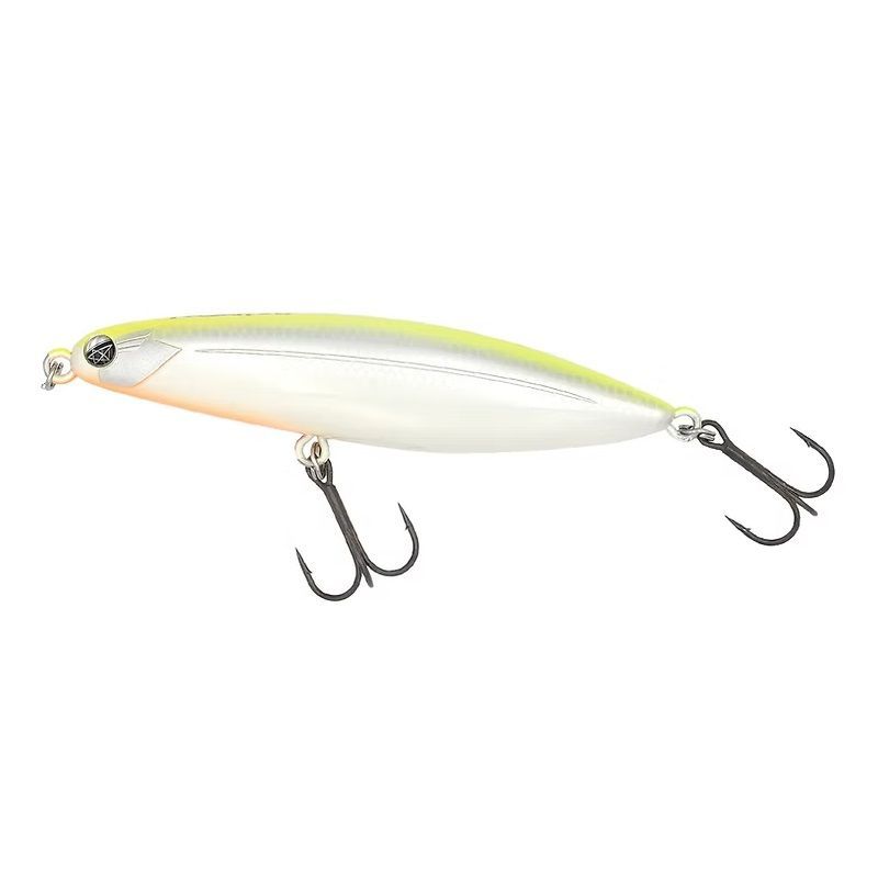 新品 FISH MAGNET フィッシュマグネット TYGAN タイガン