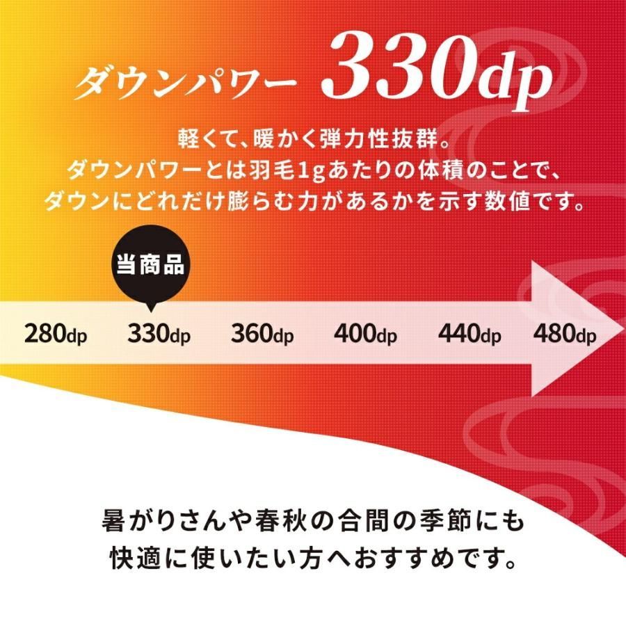 羽毛布団 シングルロング ホワイトダックダウン85 1.0kg入り 330dp 立体キルト 3SA-325251110 MARWIL-DEMENAGEMENTS_CH