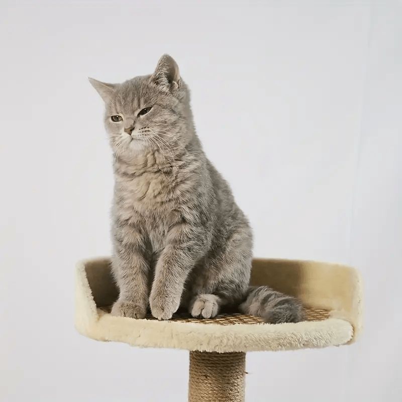 木製 頑丈