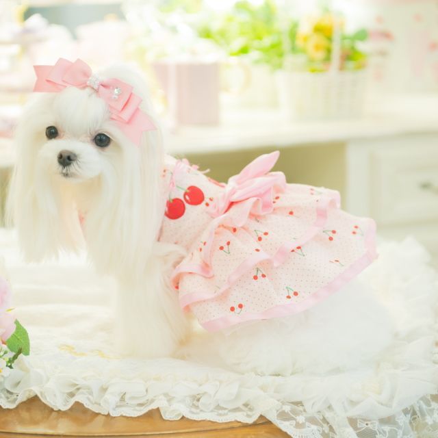 犬服 夏 きゃんナナ さくらんぼフレアワンピース ピンク レッド SS-LL