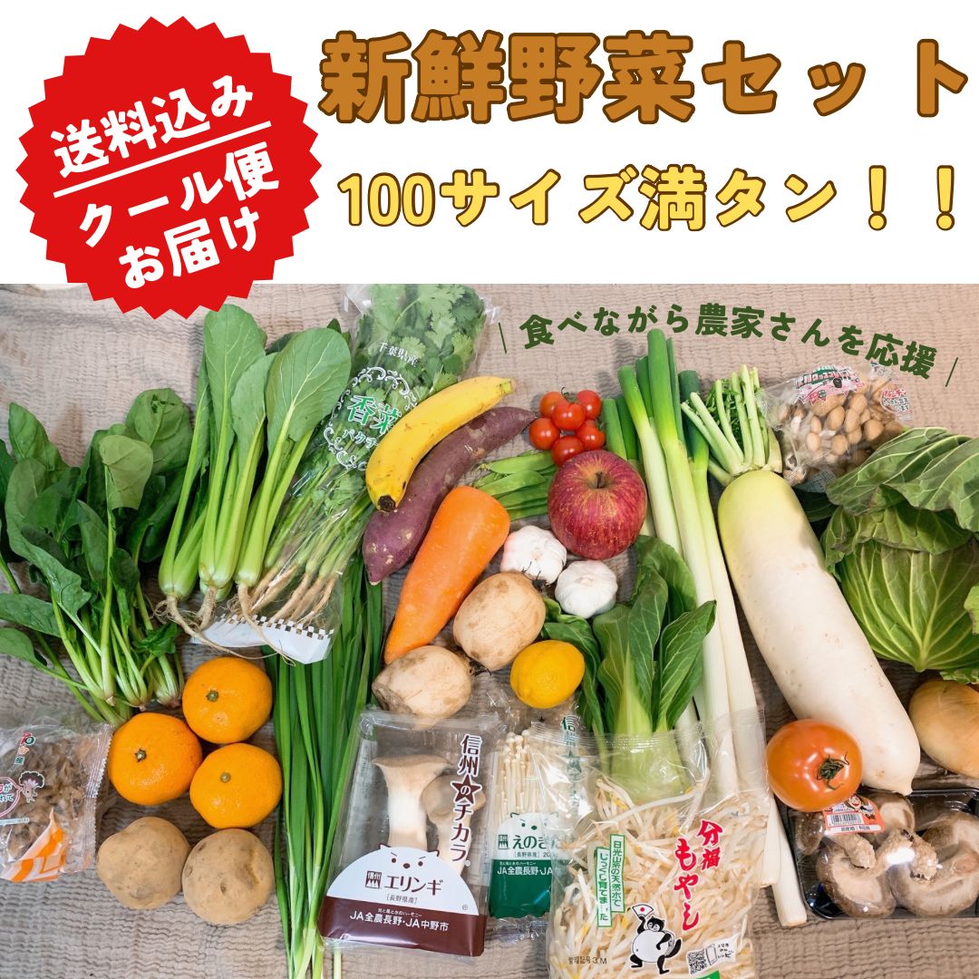 野菜好きの方へ大容量】野菜 詰め合わせ 100サイズ満載‼️ - メルカリ