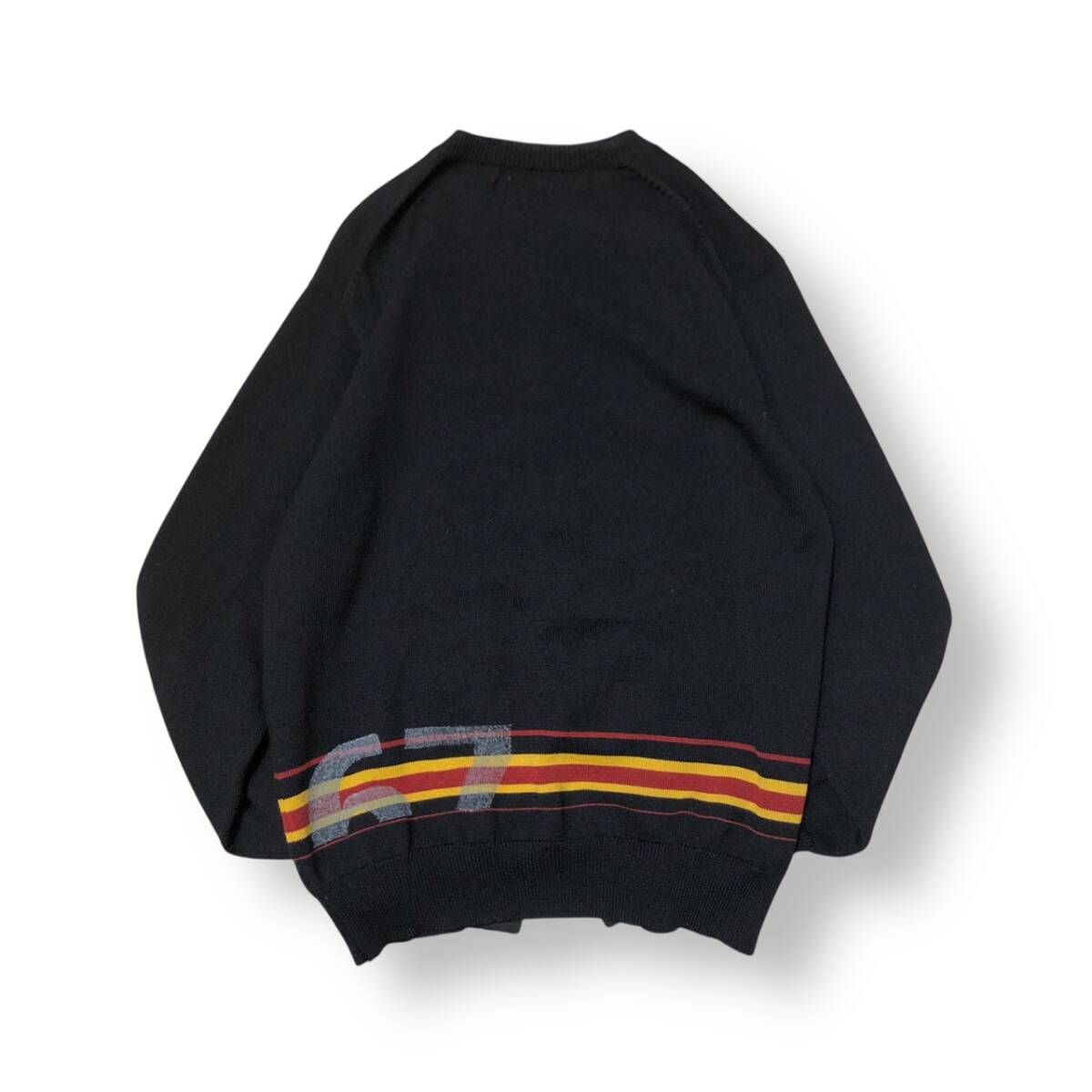 95AW スリープ期