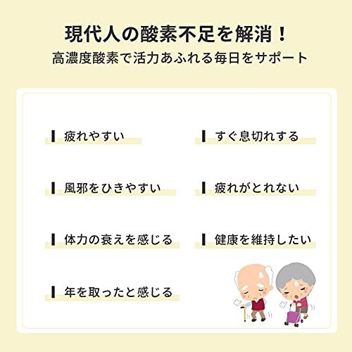 RABLISS ラブリス 酸素発生器 静音性能モデル KO 306