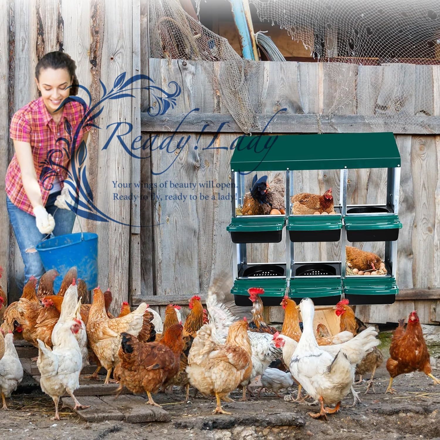 鶏の飼育用の卵の敷設箱養鶏＆卵 red