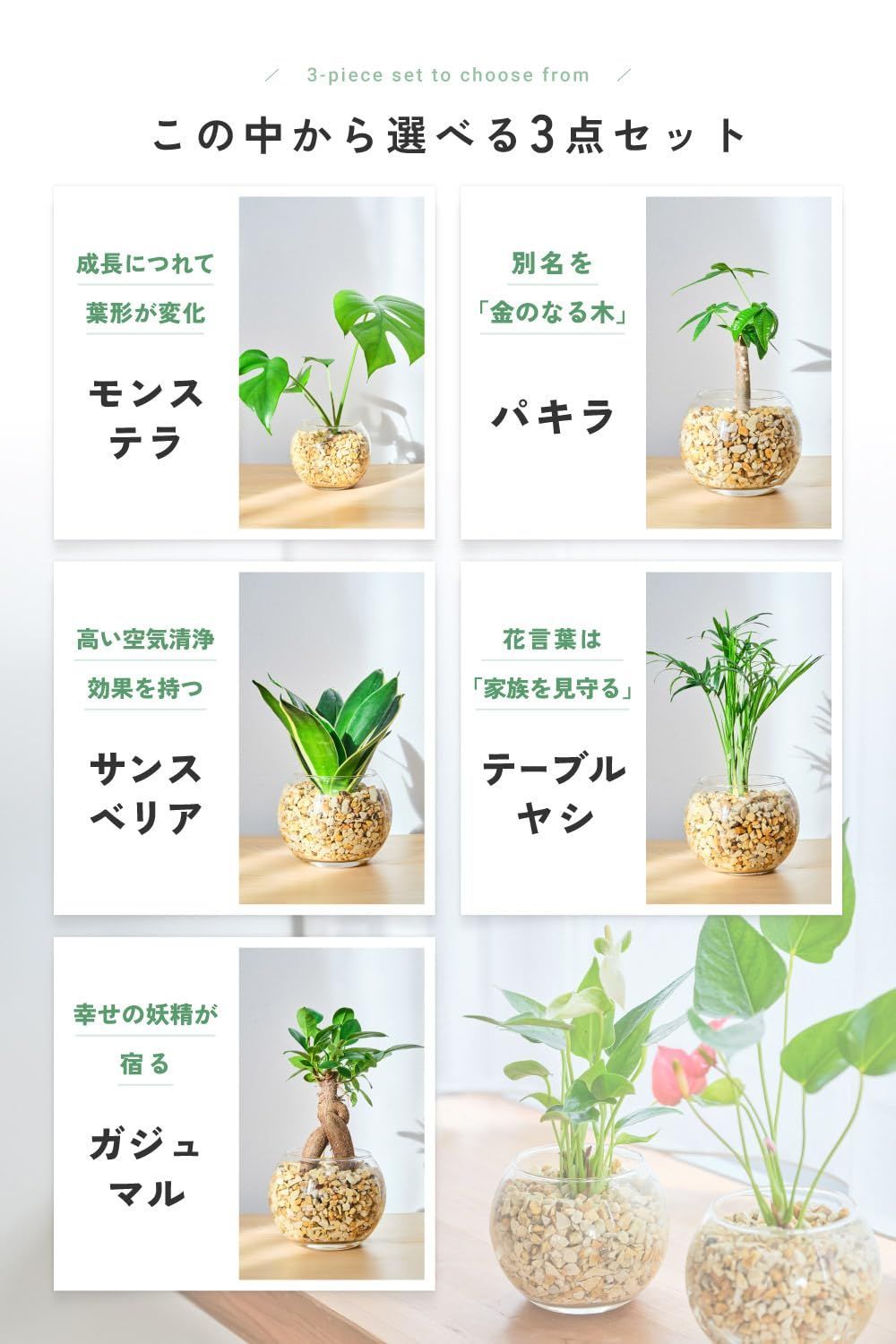 商品 本物