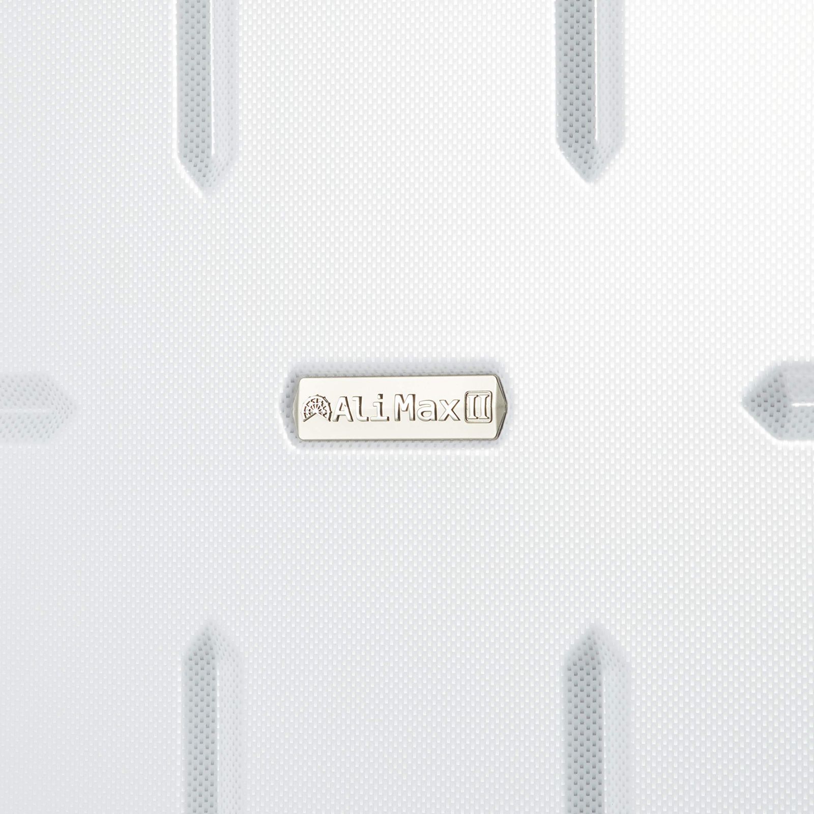  5.2 kg cm 75 92 L ハードキャリー AliMax 2 スーツケース エー エル アイ その他 旅行かばん 小分けバッグ