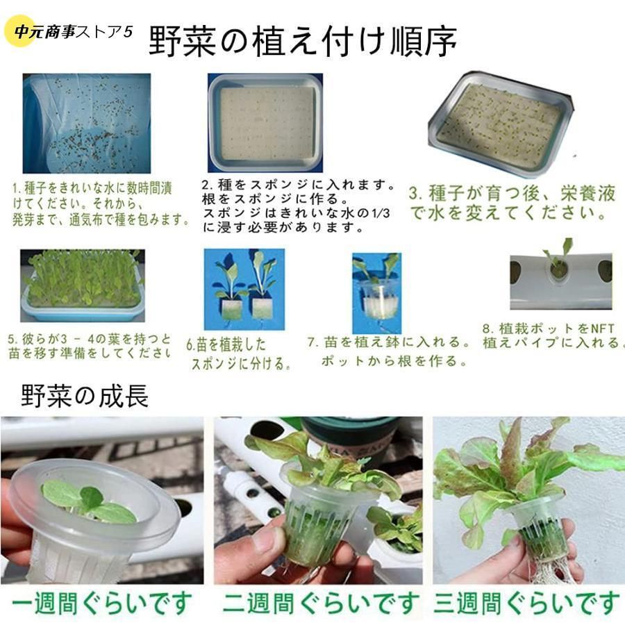 いちご