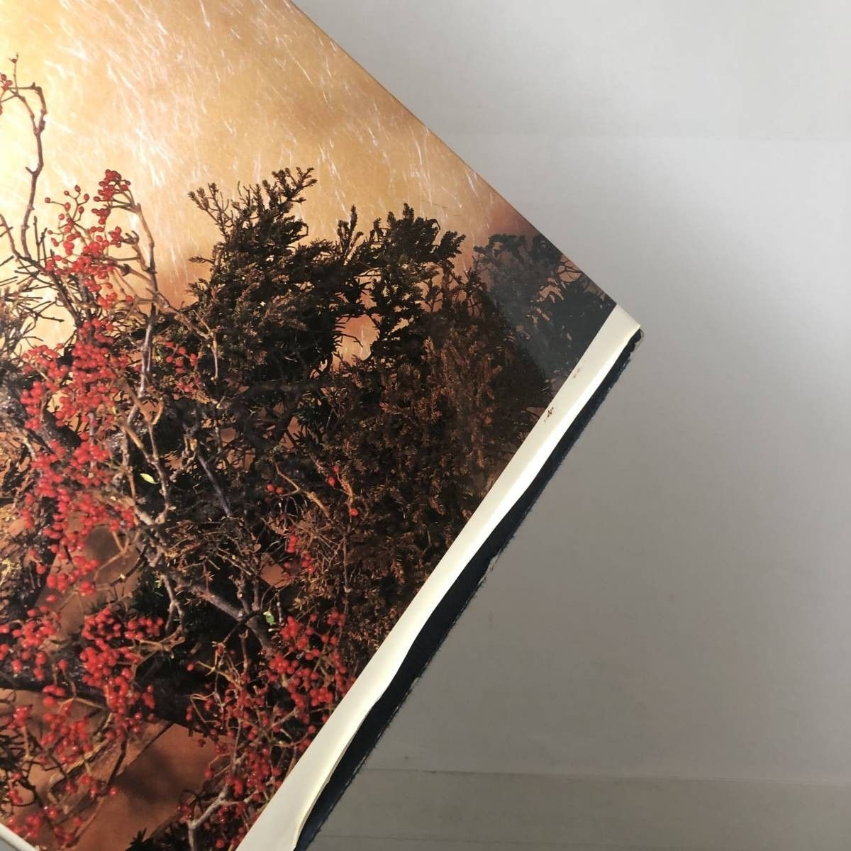 花道】「小原豊雲作品集花曼荼羅」「平 光波作品集」2冊セット