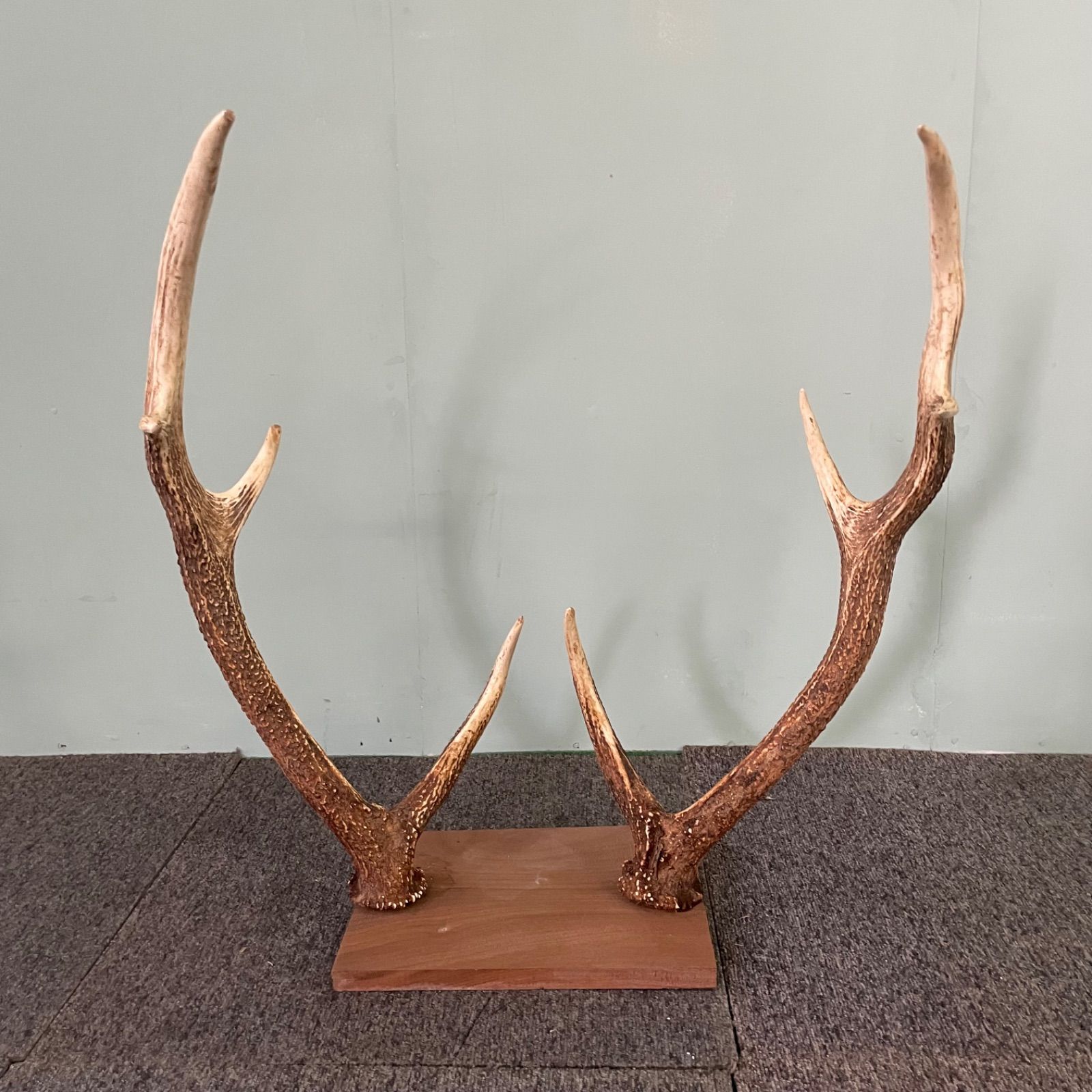 鹿の角 刀掛けオブジェ 約30cm x 20cm 鹿の角 刀掛けオブジェ 約30cm x 20cm 鹿の角 刀掛けオブジェ