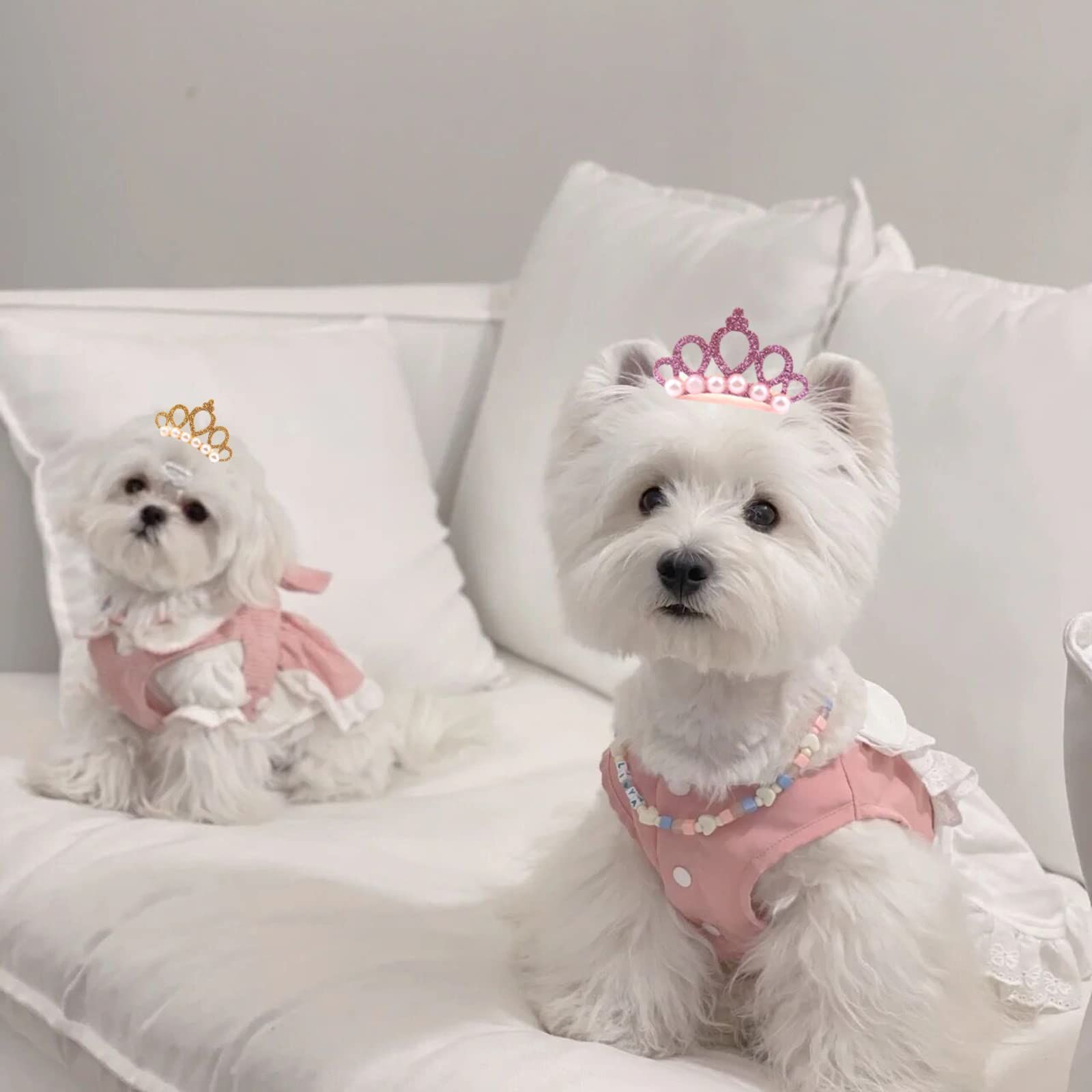 ワンちゃん 七五三 正月 お宮参り 記念撮影 誕生日 結婚式 紋付 年賀状 和服