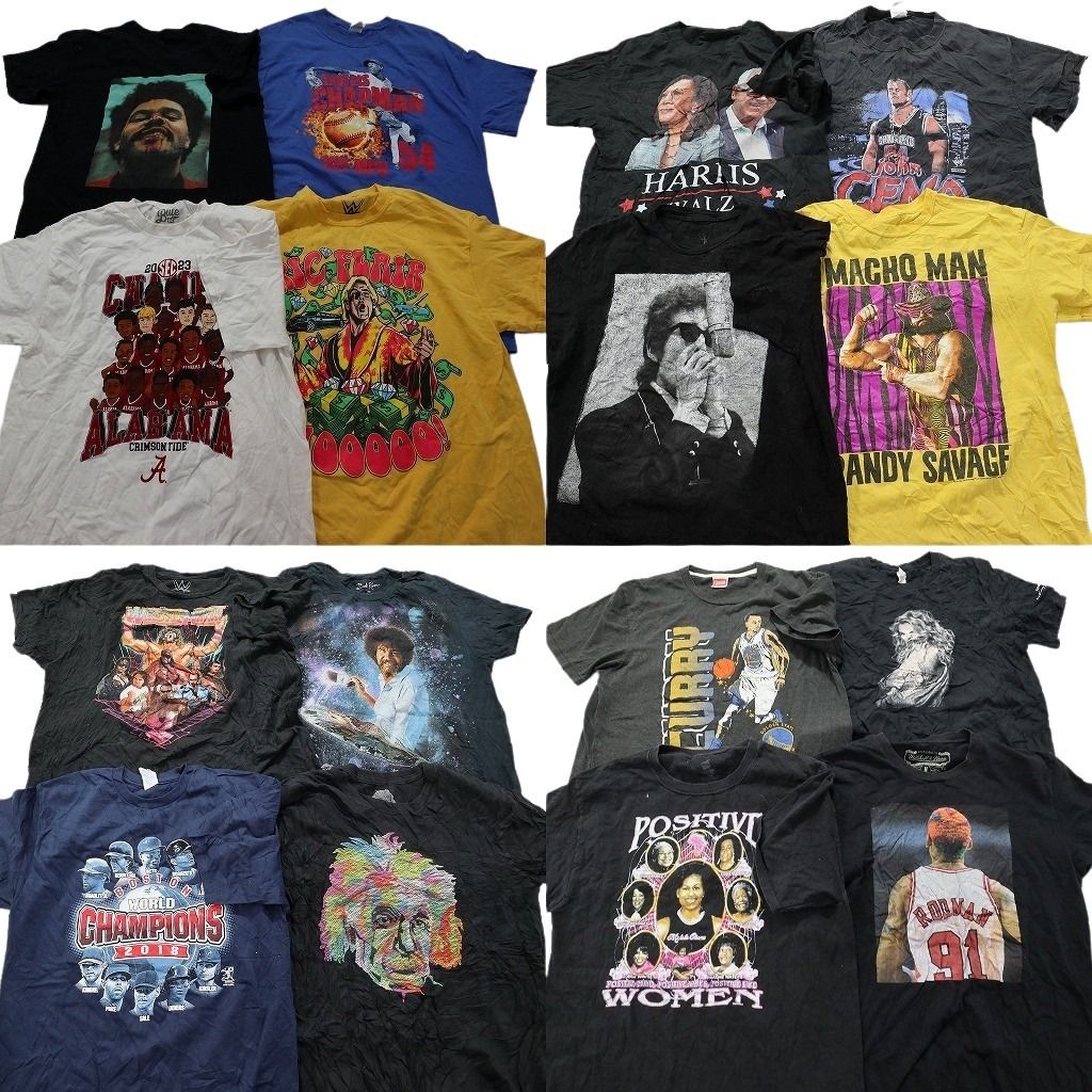 古着卸 人物 半袖Tシャツ 16枚セット メンズ M ザウィークエンド ステフィン カリー デニスロッドマン 古着 NA1485