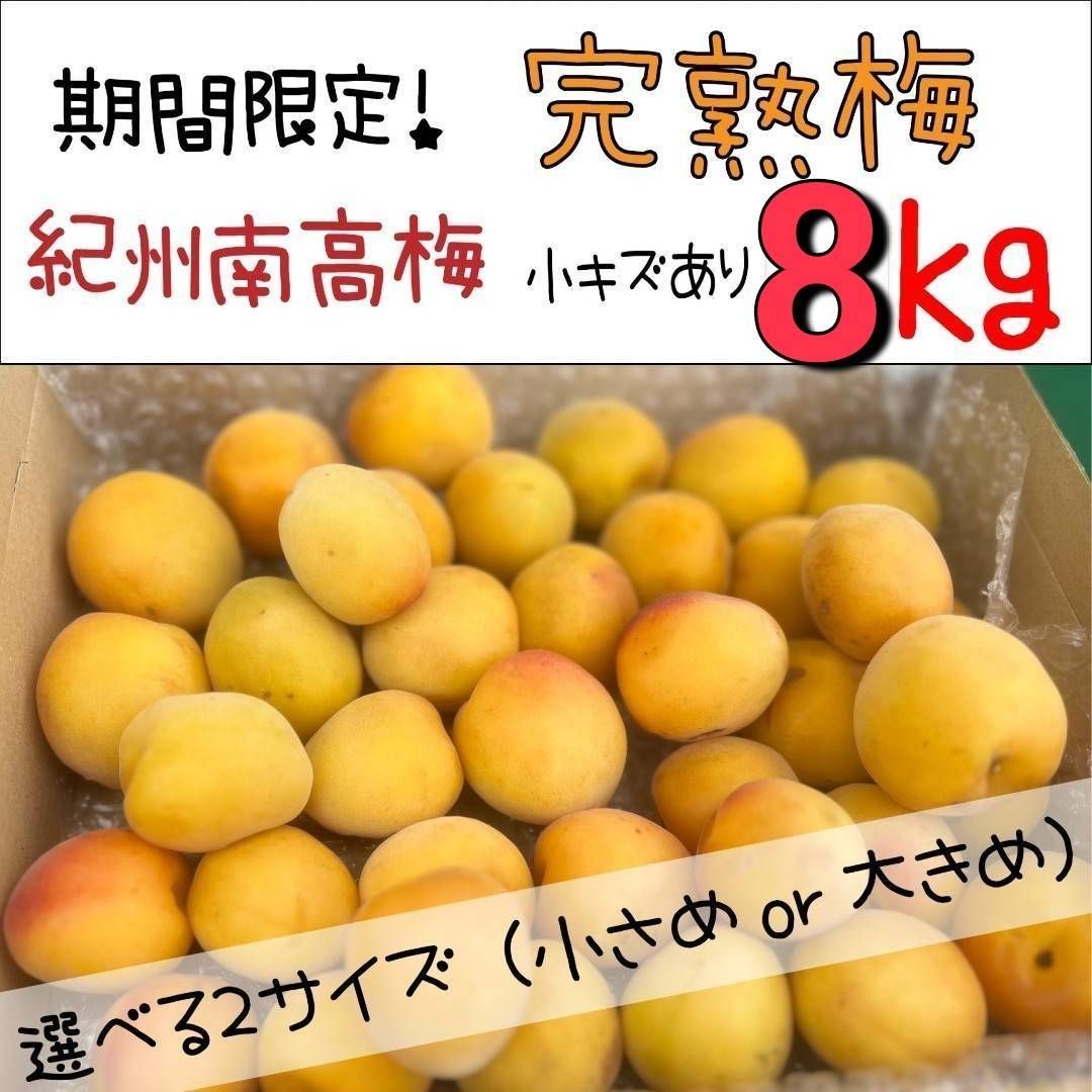 もうすぐ終了 クール便 紀州南高梅8kg 完熟梅 産地直送
