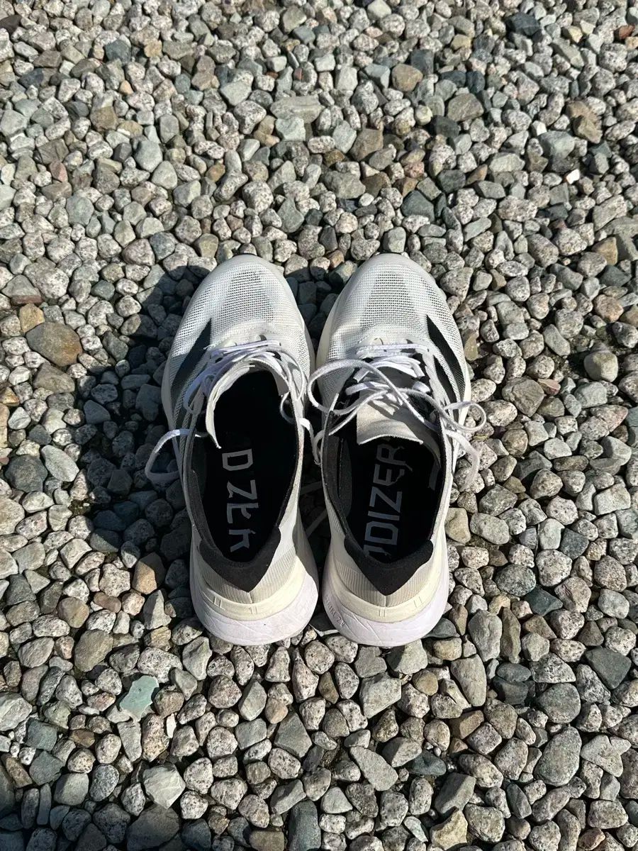 270 adidas アディダス アディゼロ ボストン 12