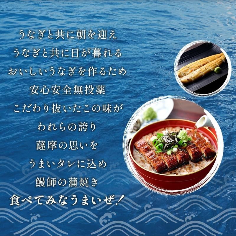 うなぎ蒲焼き 約200g