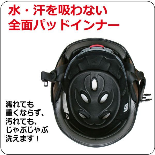 コヨーテ