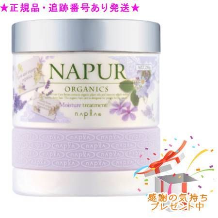 ナピュール モイスチャートリートメント(250g)