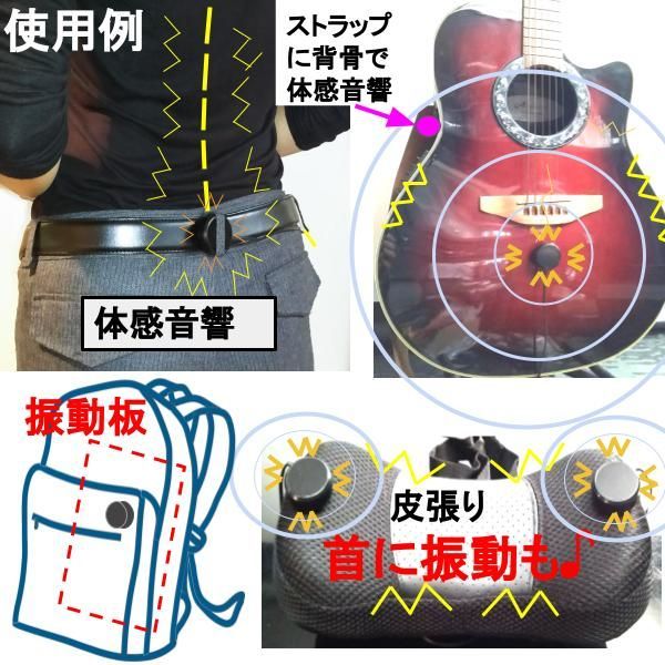 伝振動スピーカー &USBオーディオアンプset