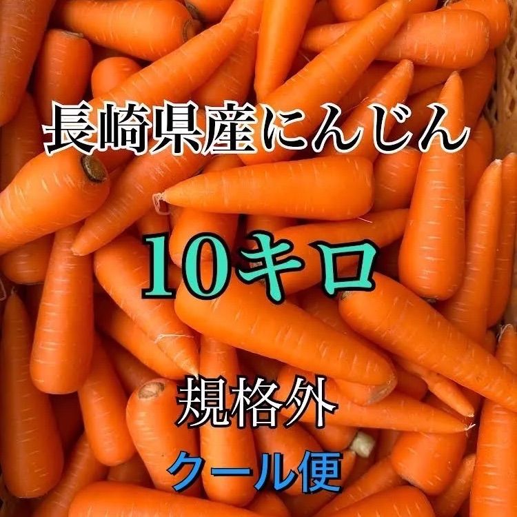 にんじん 人参 規格外品 10㎏ 送料込 茨城県産 農家直送 ジュース用