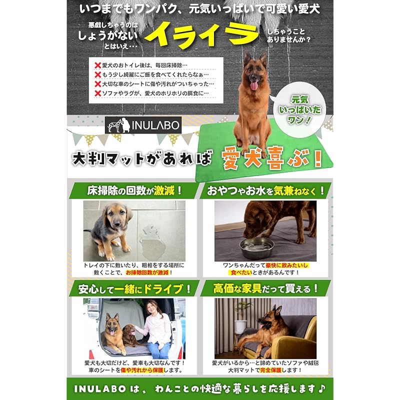 INULABO イヌラボ