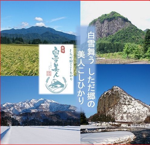 令和6年産新米 減農薬 新潟こしひかり白米27kg 新潟県三条市旧しただ村産 新潟県認証 特別栽培米100% 白雪美人 混米も偽装無し グルテンフリー  - メルカリ