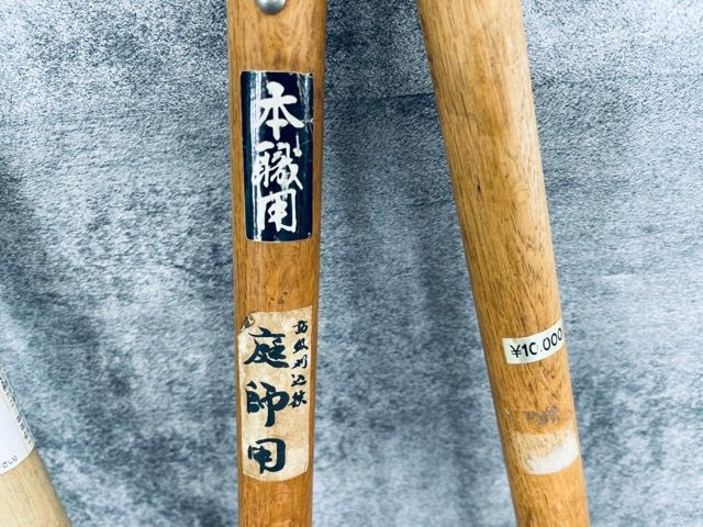 5点