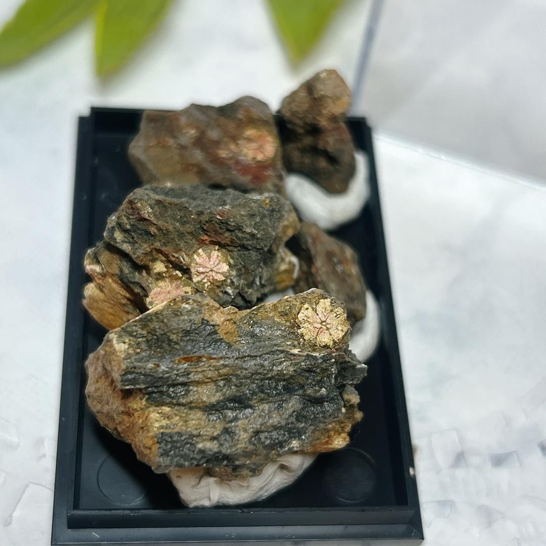 E13799】レア！桜石 さくらいし ピンク 菫青石仮晶 京都 Cherry