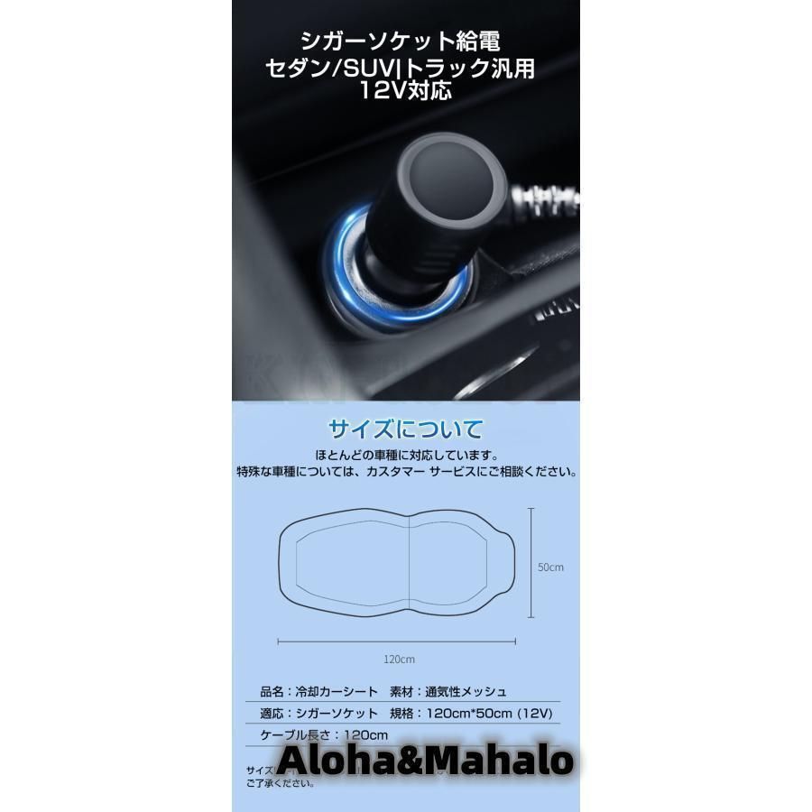 シガー