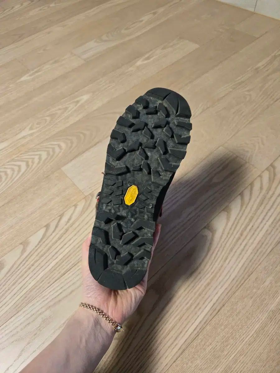 ハンバグ 100周年