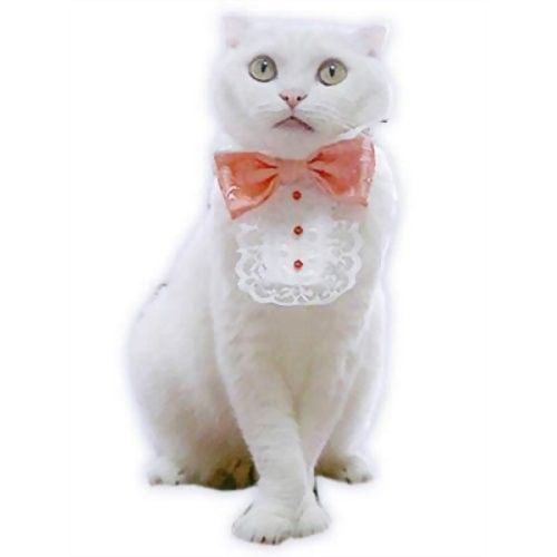 キャットプリン ウェディング・タキシード ピンク 1枚　猫の服 キャットウエア 付け襟 ネックカラー 帽子 かわいい コスプレ 変装 散歩 記念写真 年賀状 ペット名刺