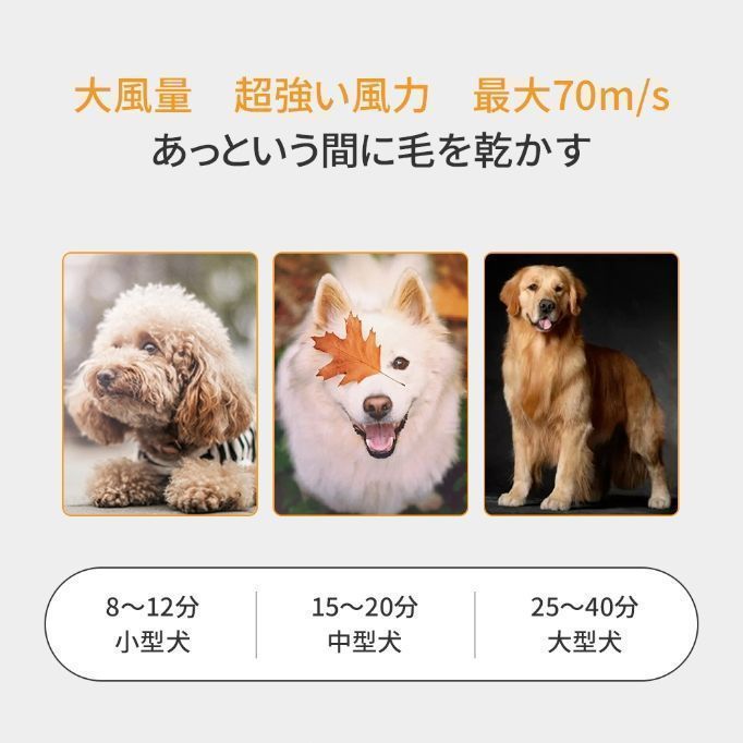 大風量 業務用
