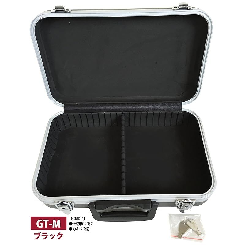 JEJアステージ JEJ Astage ABSストロングケース ブラック W約37.5×D約10.2×H約25.5cm GT-M 0