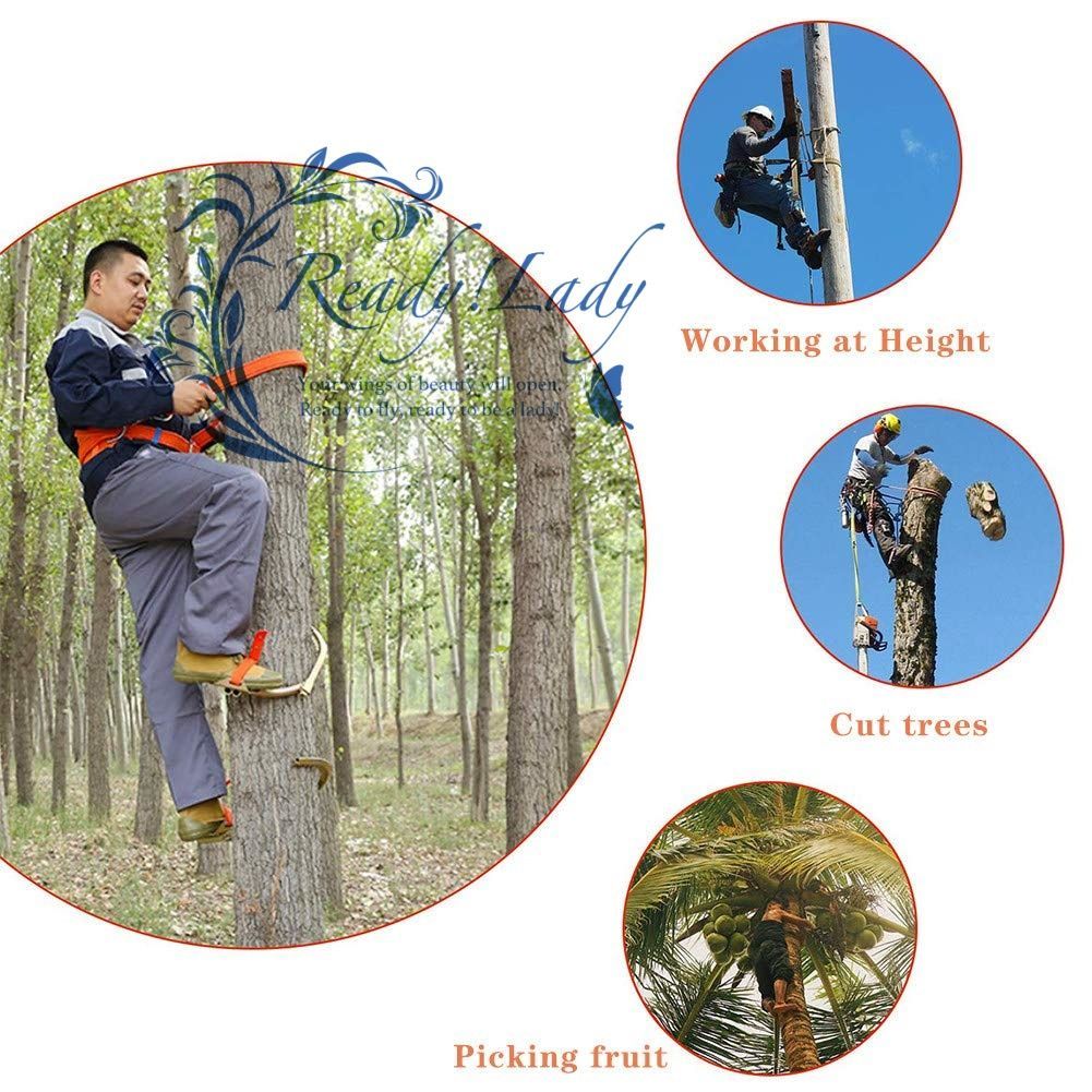 木登り器 木登り道具 木登り靴 ツリークライミングアーティファクトフィートバックル 使いやすい プロフェッショナル滑り止めツリークライミングギアツリーワークの場合 ステンレス鋼アウトドアスポーツ用品 450Model