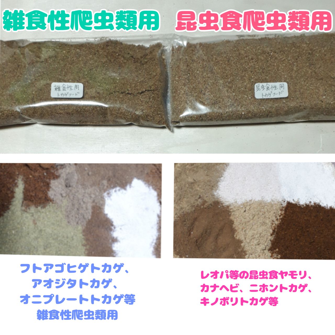 爬虫類ブレンドフード【20g】お試し - kero's - メルカリ