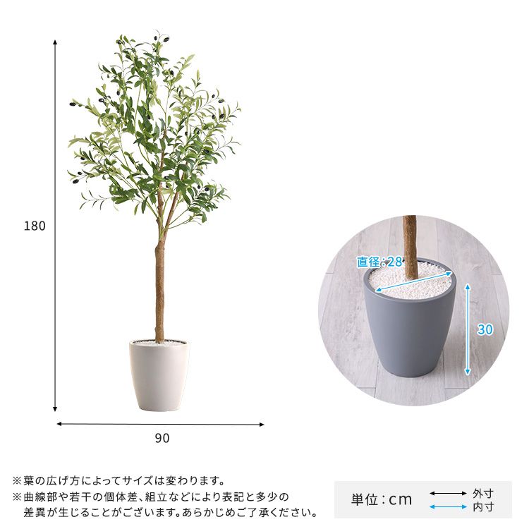 オリーブ