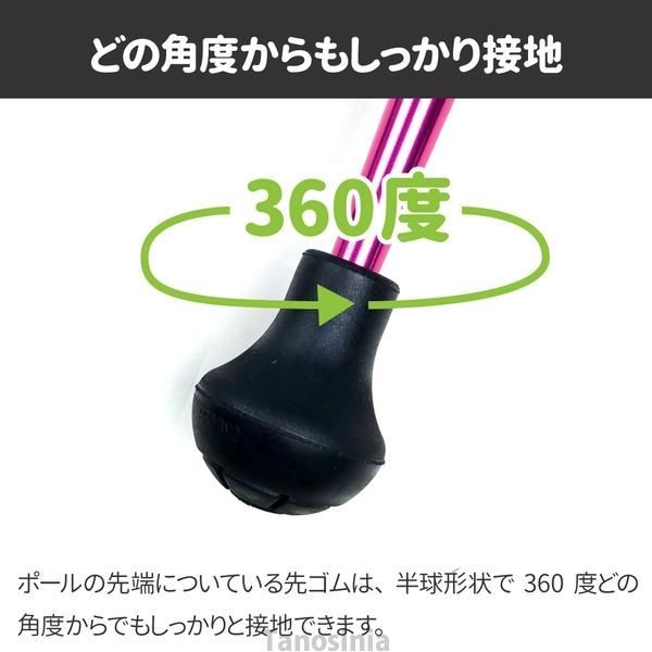 ポール