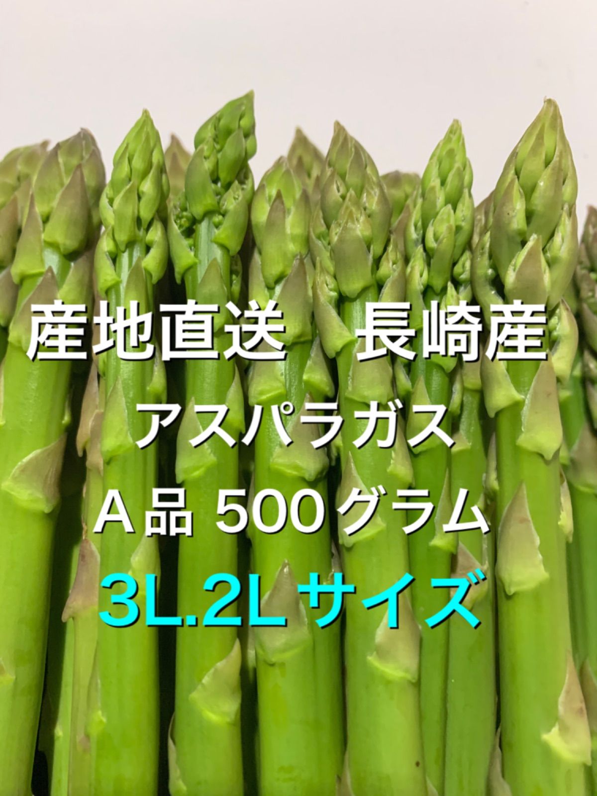 信州産 アスパラガス 2L〜3L 500g - 野菜