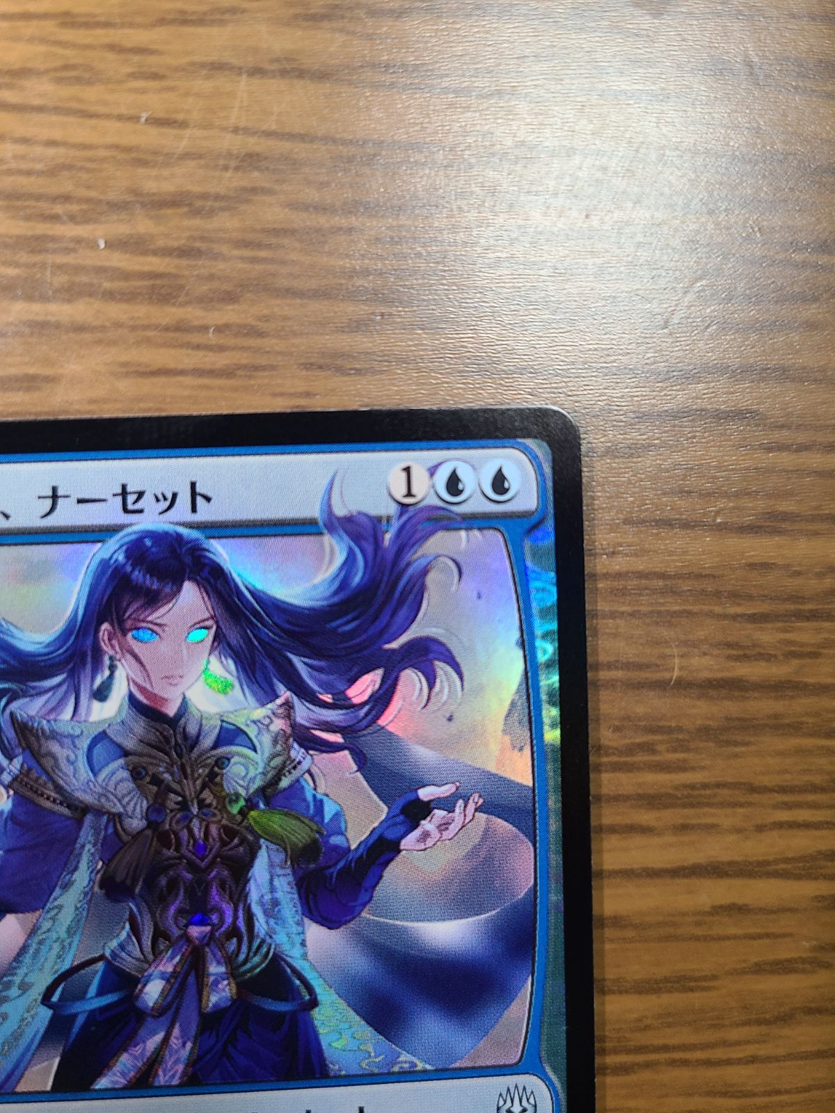 MTG 覆いを割く者、ナーセット foil 絵違い 全面光沢 灯争大戦 - メルカリ