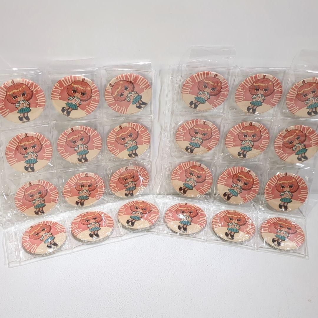 nqrse なるせ あなめ あらなるめい 2023 LIVE 缶バッジ 24個