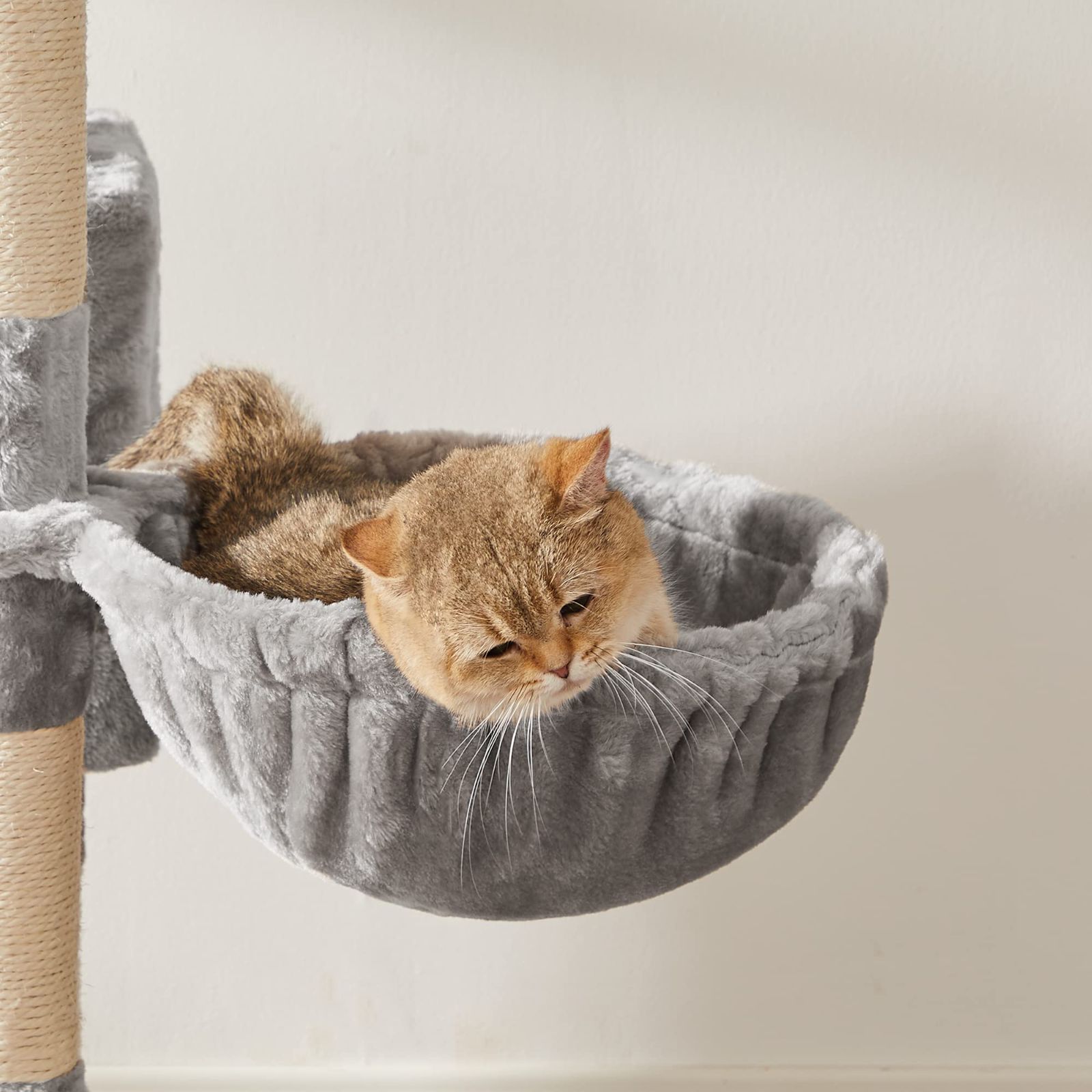 猫タワー 多頭飼い