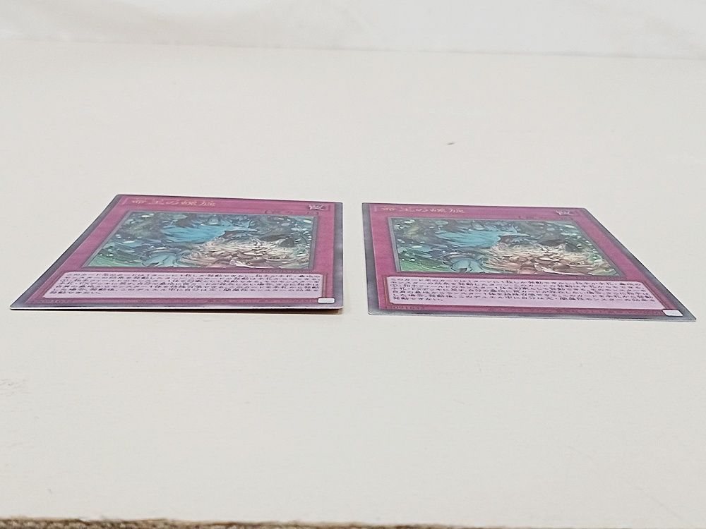 遊戯王 OCG 命王の螺旋 ドミナススパイラル レリーフ 2枚セット