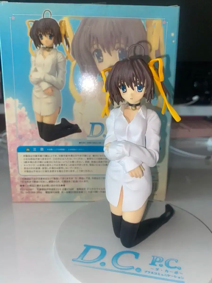 タカポ D C P あさくら ネム クラシックビューティーガール
