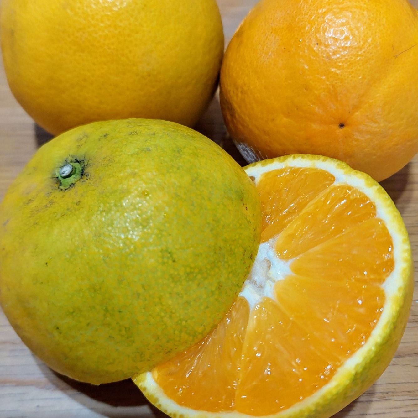 定率割引 西日本 バレンシアオレンジ【小玉】1.8kg(箱込) - メルカリ フラメンコ