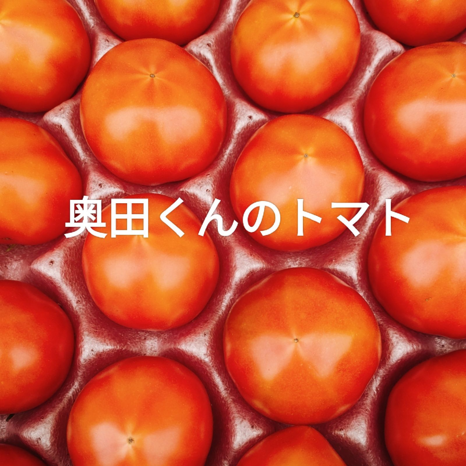 淡路島の奥田くんが育てた甘い甘いトマト たまねぎタマネギ玉葱