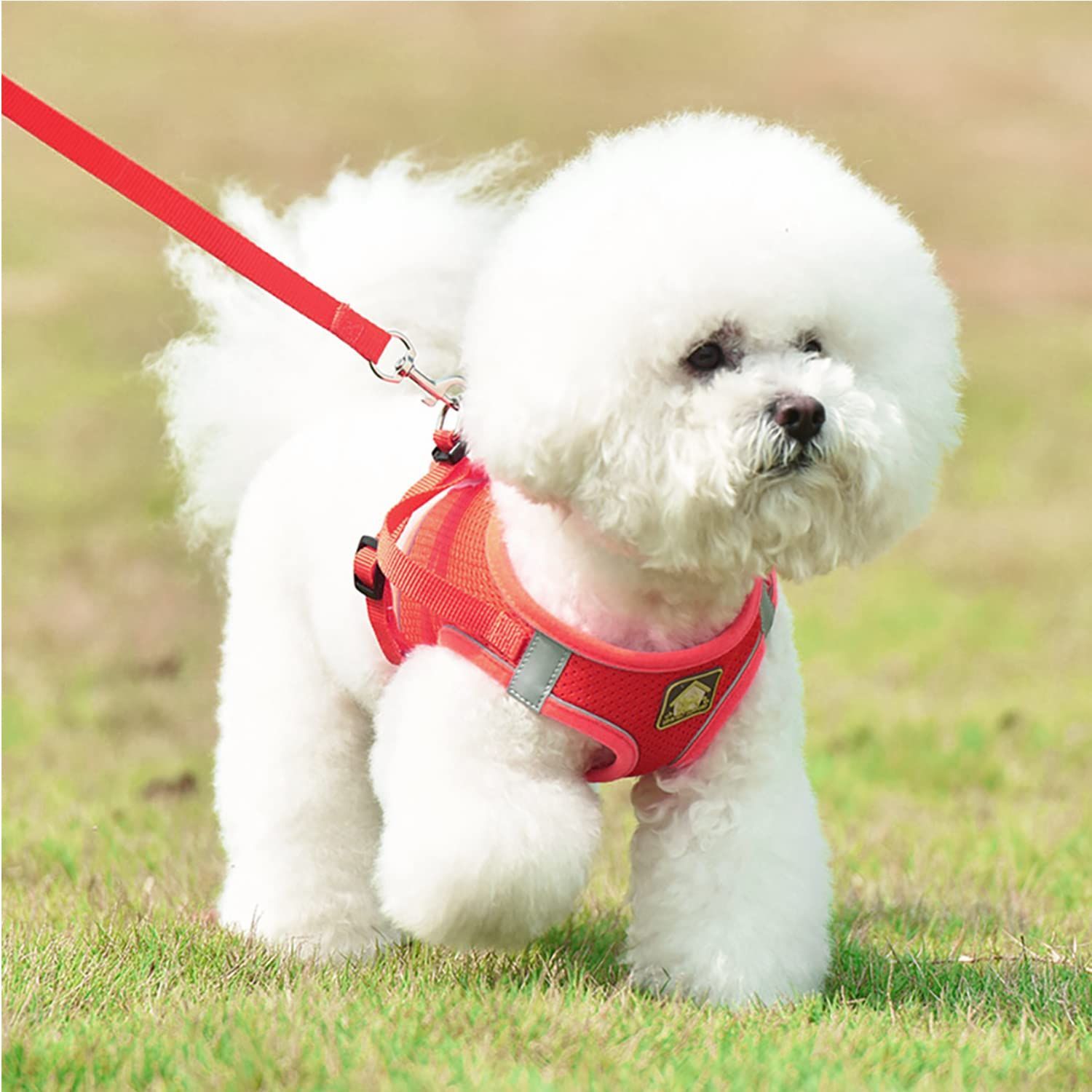 犬用ハーネス はーねす