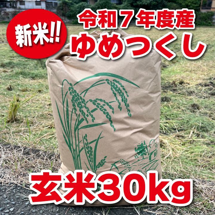 令和7年産 新米 福岡県産 夢つくし 30㎏ 玄米