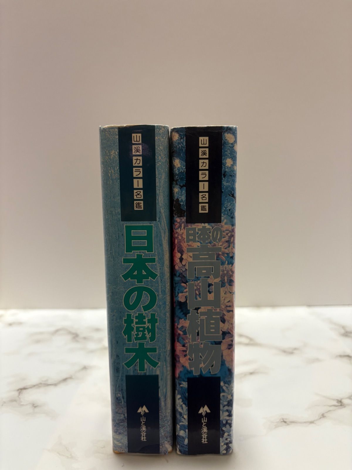 山渓カラー名鑑 ◆日本の樹木 日本の樹木 (山渓カラー名鑑) (山溪カラー名鑑) | 林 弥栄 |本