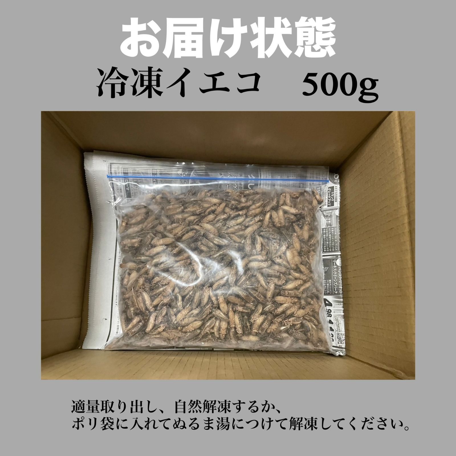 冷凍コオロギ 500g ×2 冷凍こおろぎ 冷凍コオロギ 500g ×2 冷凍
