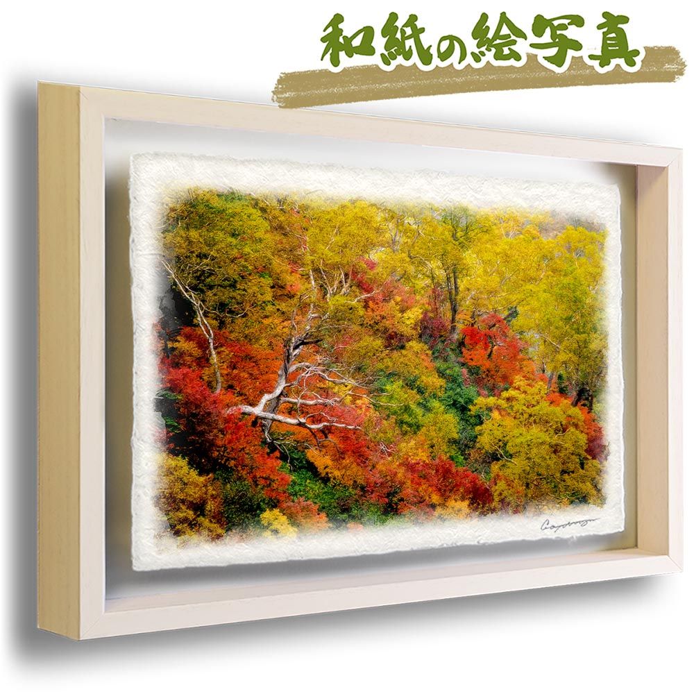 和紙の絵写真 「紅葉の中の立ち枯れした木」 立体額縁付き