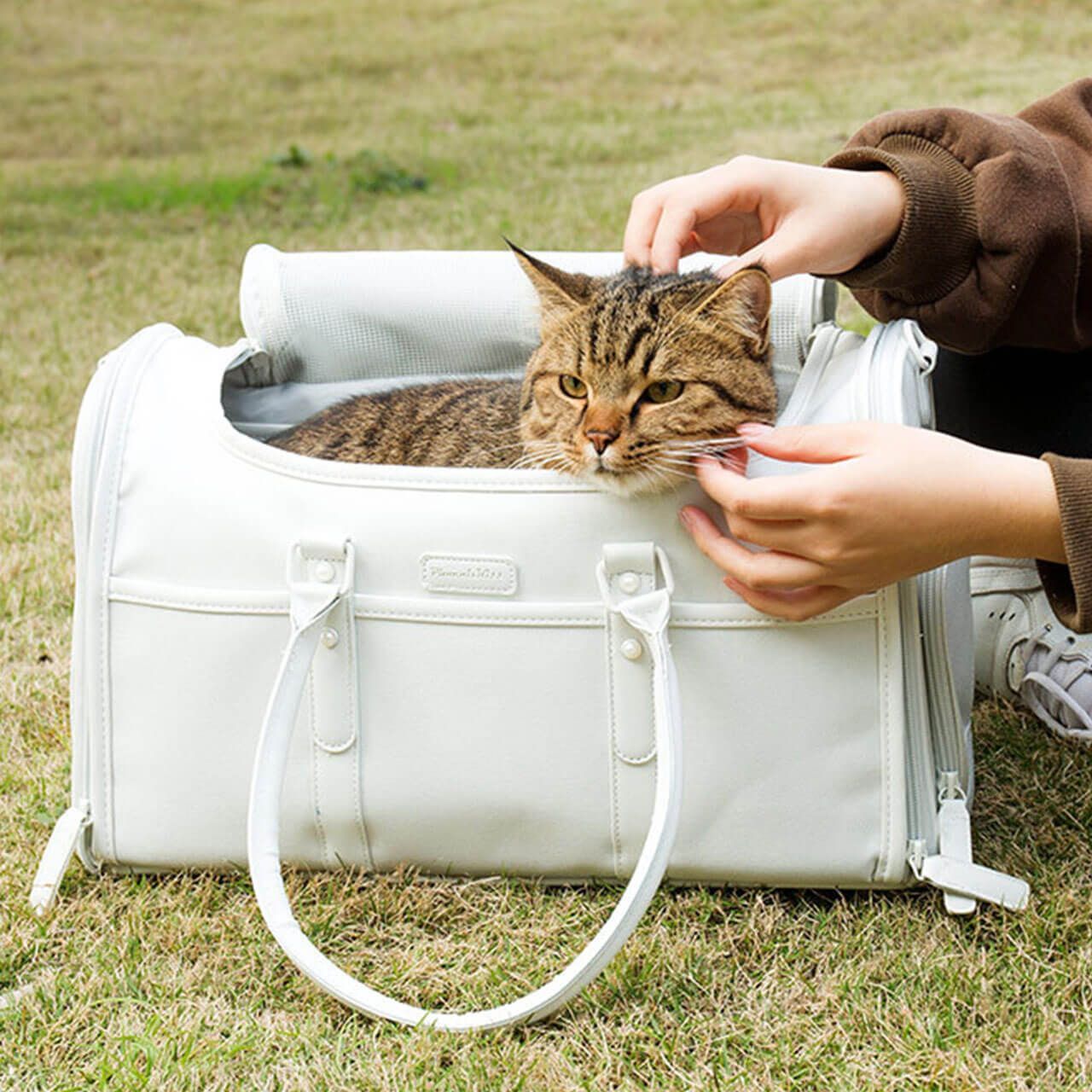 ペットキャリー ペットバック 猫 レディースバック 折りたたみ式 春夏秋冬 バック カバン ショルダー ペットグッズ 犬猫用品 窓付き 開閉チャック 小型犬 犬 猫 通院 お買い物 おしゃれ ピンク オフホワイト お出かけ 旅行 ペット用品 かわいい